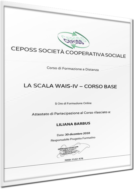 La Scala Wais IV - Corso Base